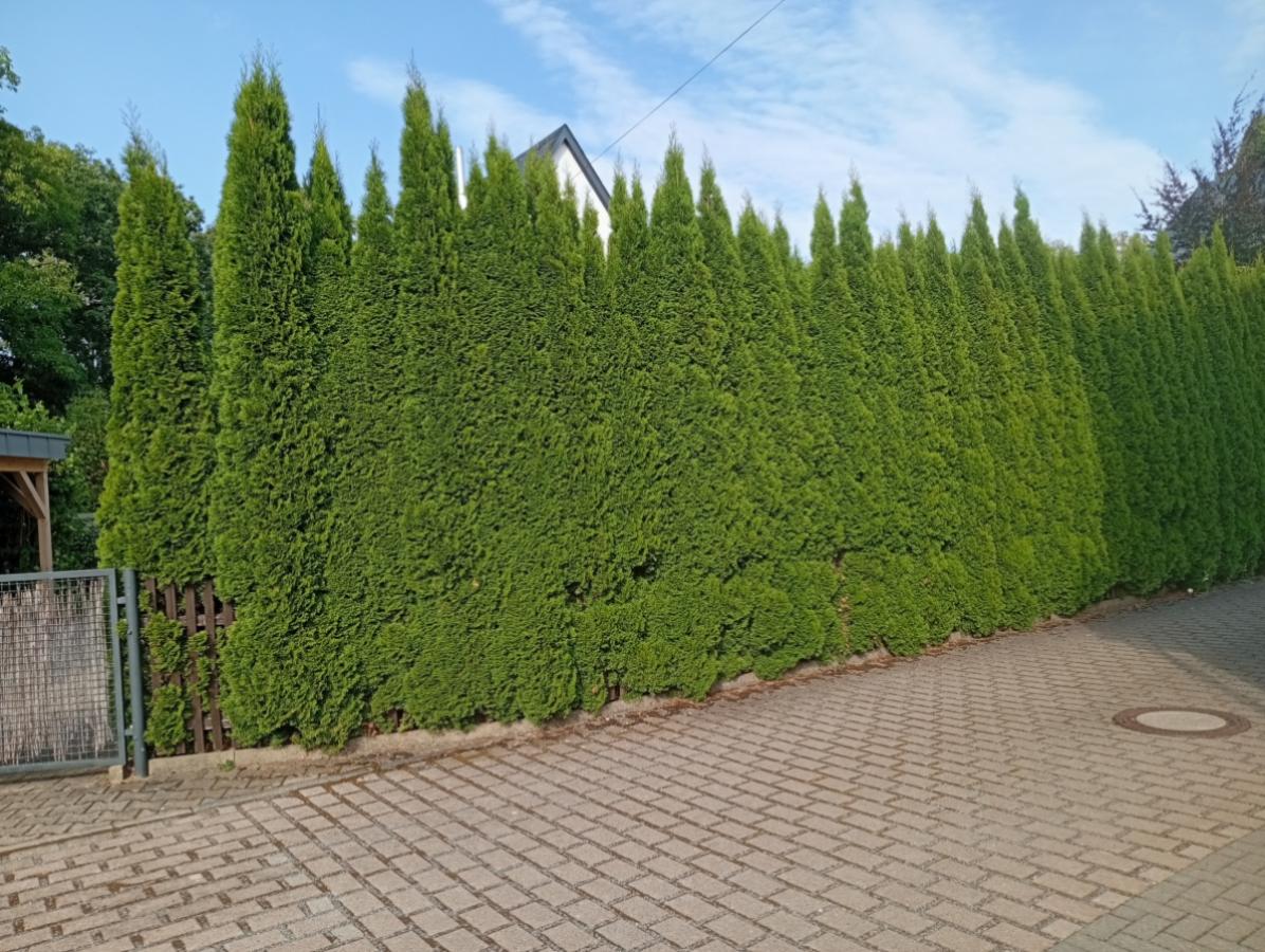 IMG 20260825 170912
