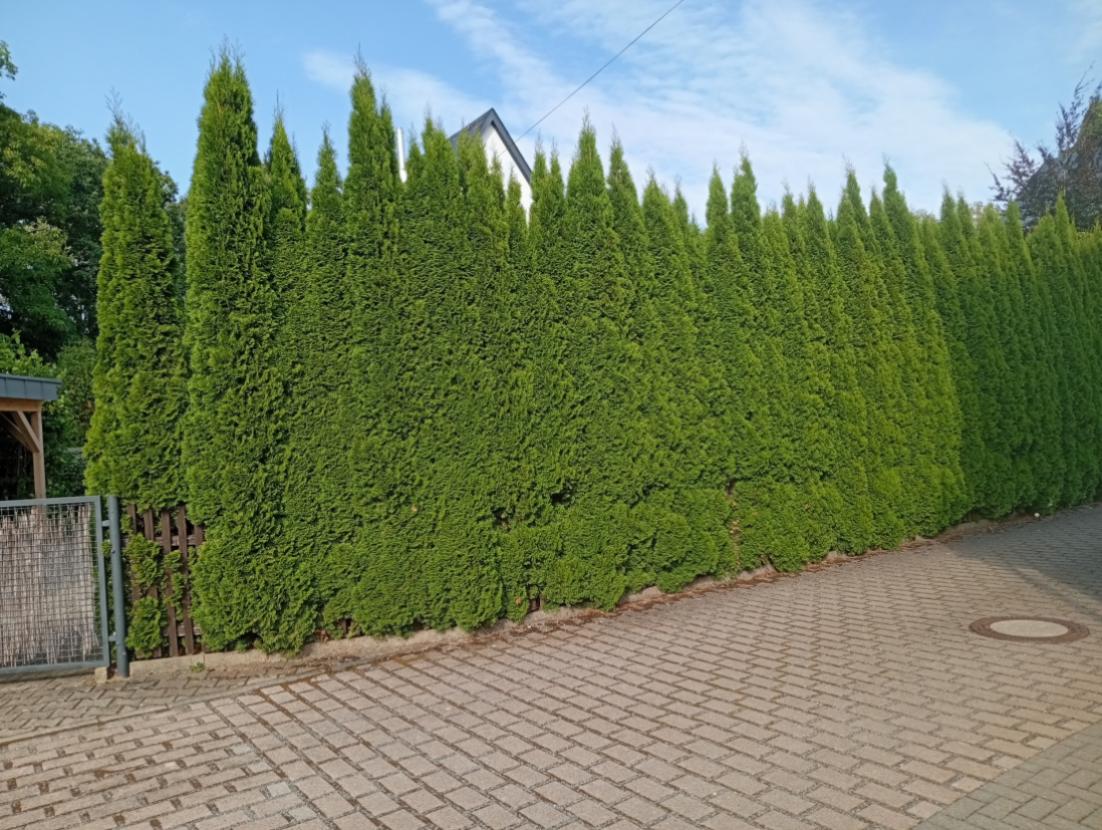IMG 20260825 170912