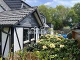 Garten 1