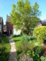 Gartenansicht im Sommer
