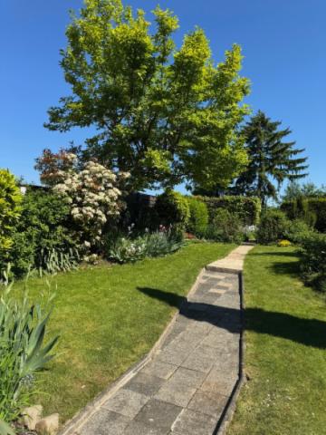 Garten im Sommer
