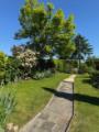 Garten im Sommer