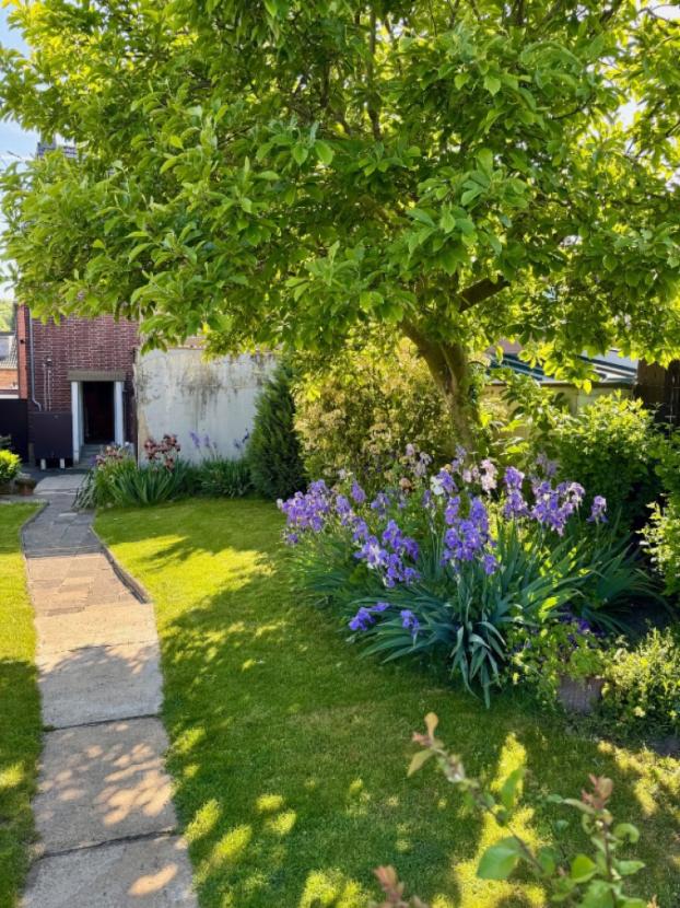 Garten im Sommer