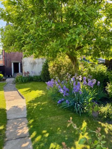 Garten im Sommer