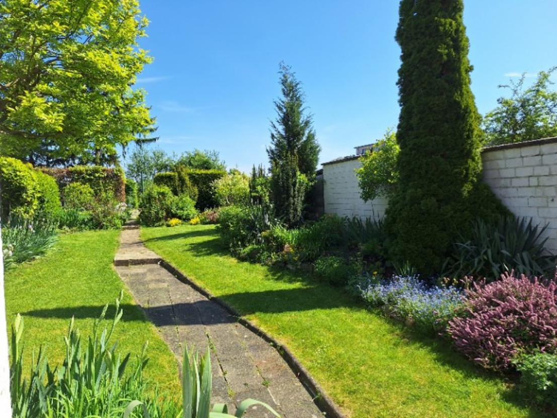 Garten im Sommer