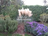 Garten im Herbst