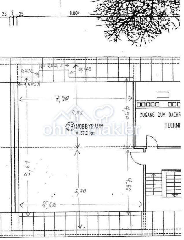Grundriss DG