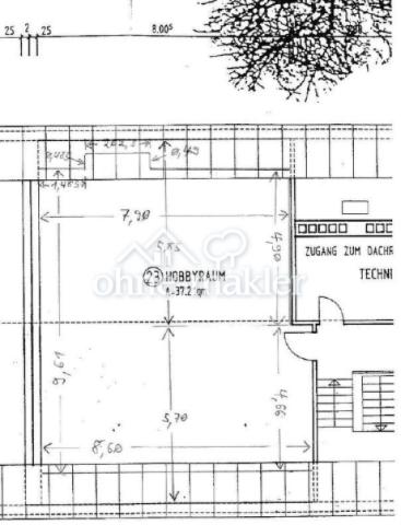 Grundriss DG