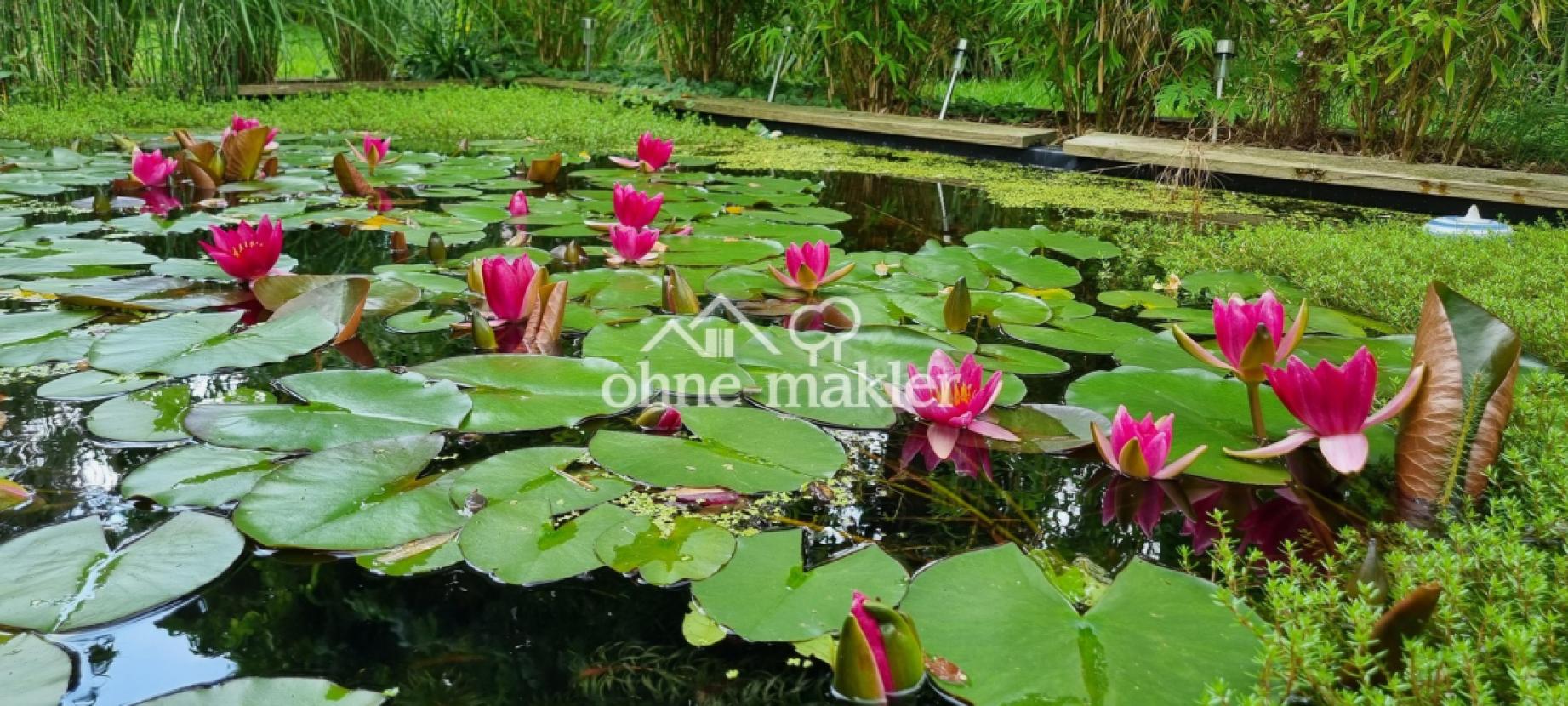 Gartenteich
