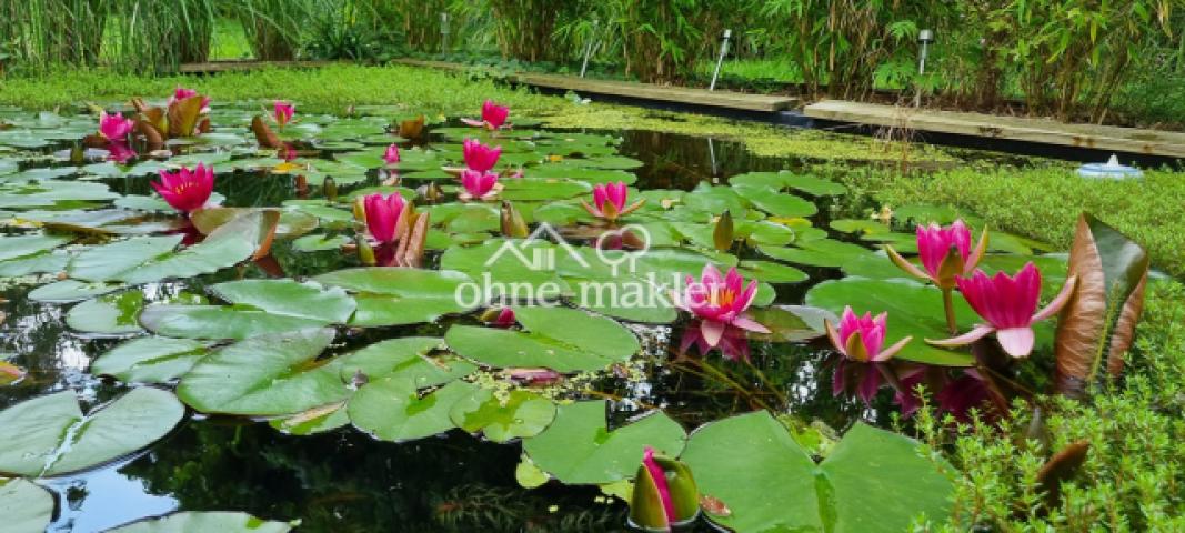 Gartenteich