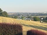 Blick nach Dresden