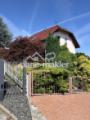 Gewächs vor dem Haus 