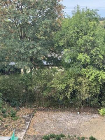 14 Blick in den Garten