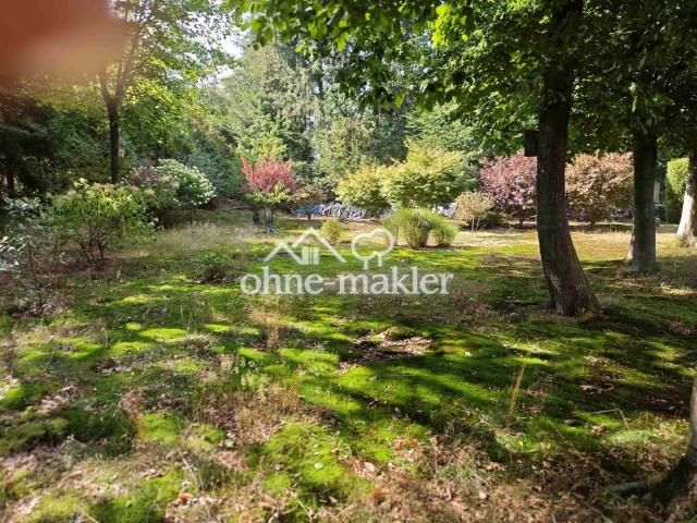 Blick in den Garten