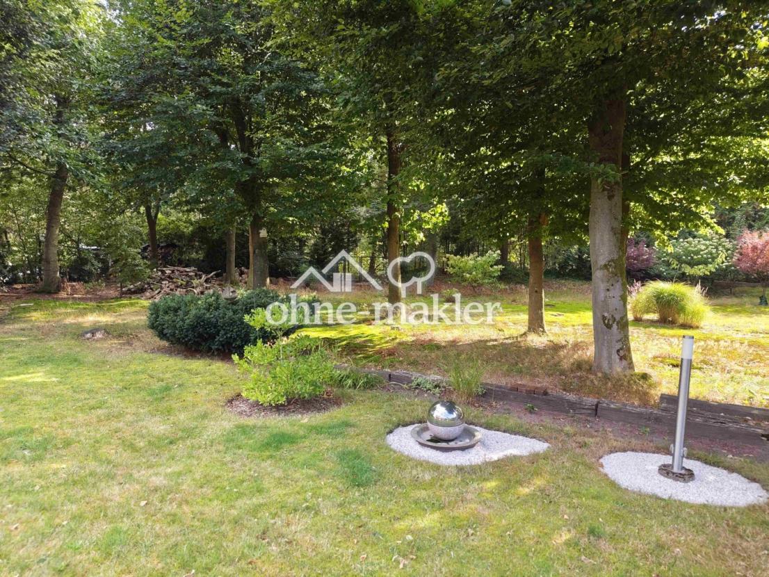 Blick in den Garten