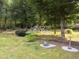 Blick in den Garten