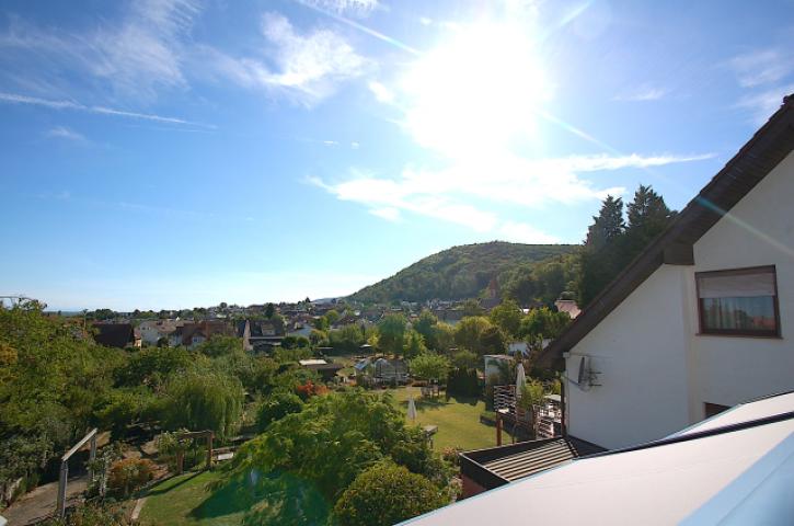 Ausblick