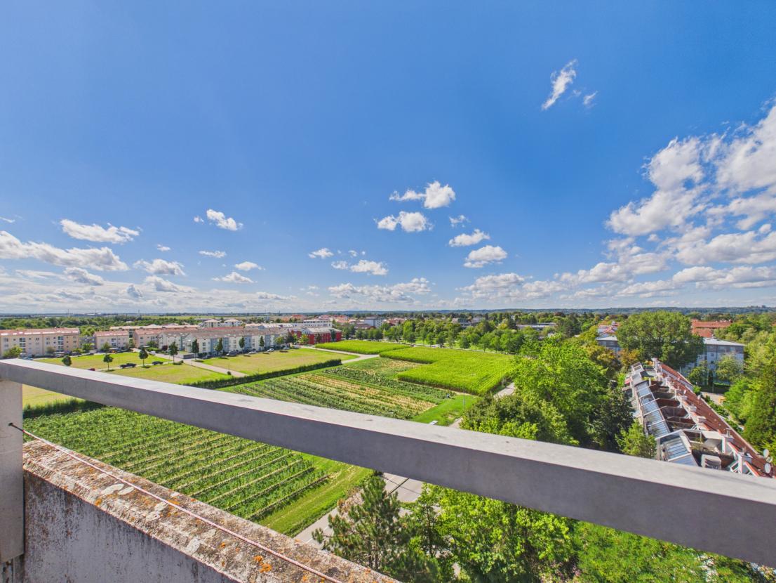 Weitblick aufs Grüne