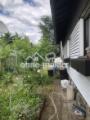 Garten Nordseite