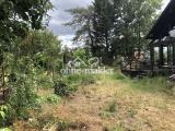 Garten Ost