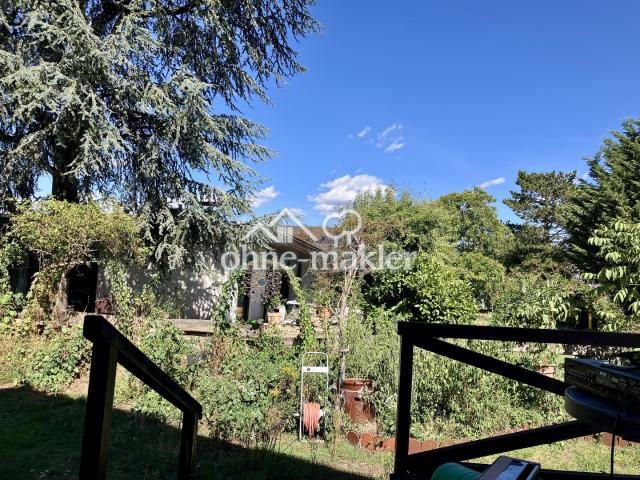 Blick v. d. Terrasse n. Osten