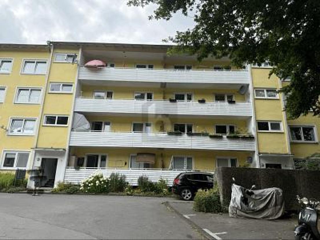 Bild