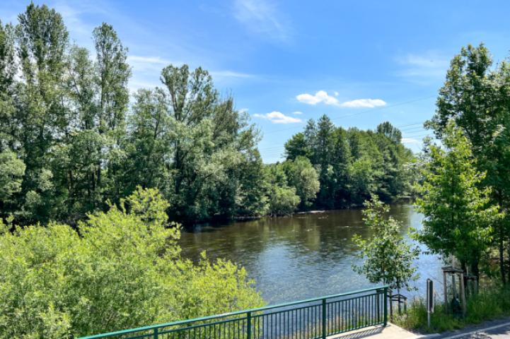 Blick vom OG auf die Saale
