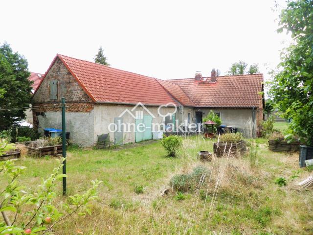 Garten/Grundstück