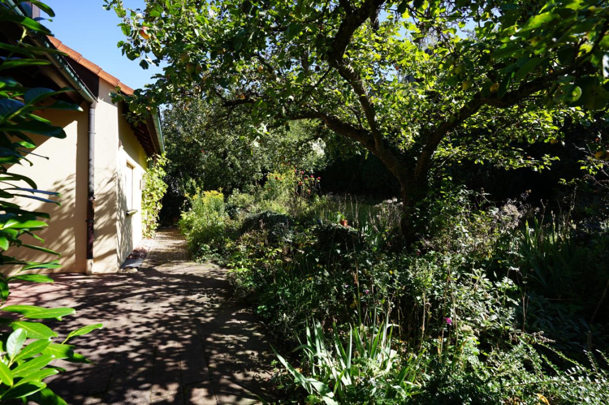 9-Gartenansicht