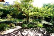 13-Blick von Terrasse EG in den Garten
