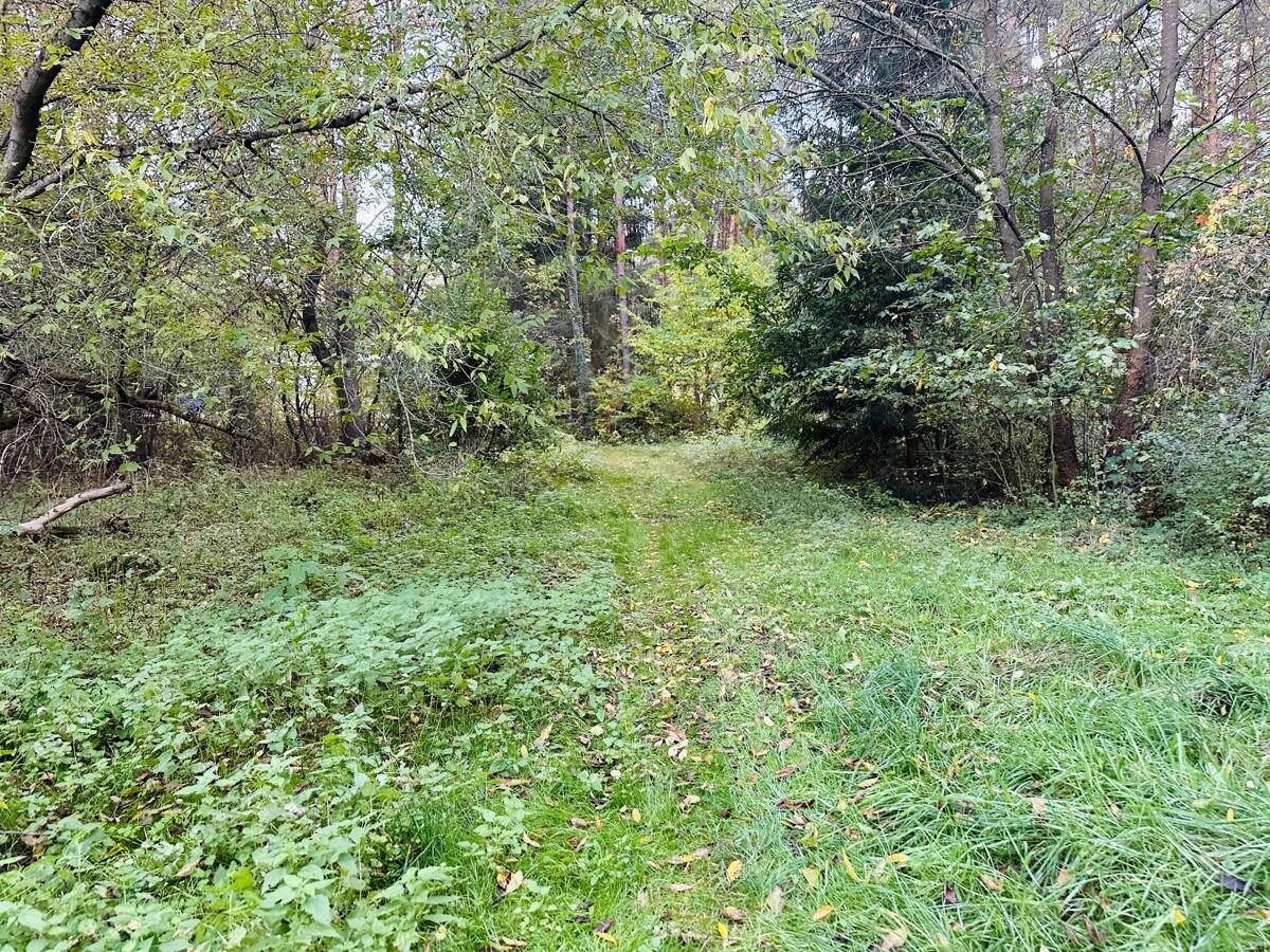 Weg zum See
