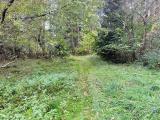 Weg zum See