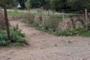 Trail