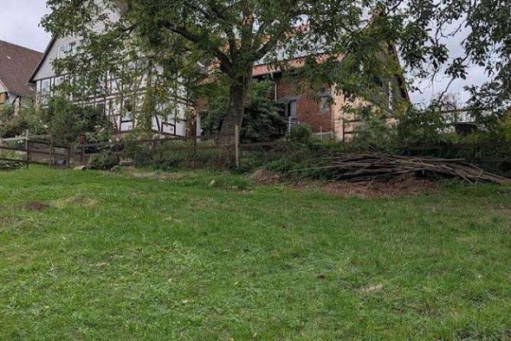 Weidefläche_Teilansicht