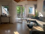 Wohnzimmer Blick zum Balkon