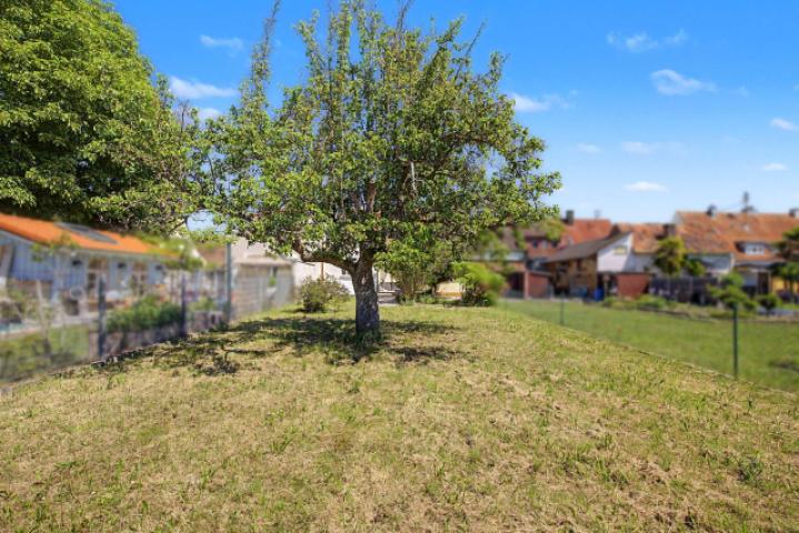 Gartenblick hinter der Birne
