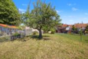 Gartenblick hinter der Birne