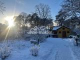 Gartenblick im Winter