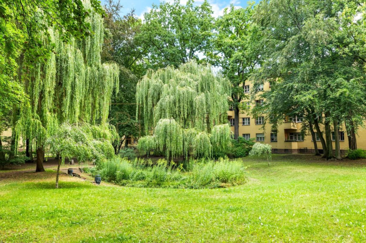 Hinterhof