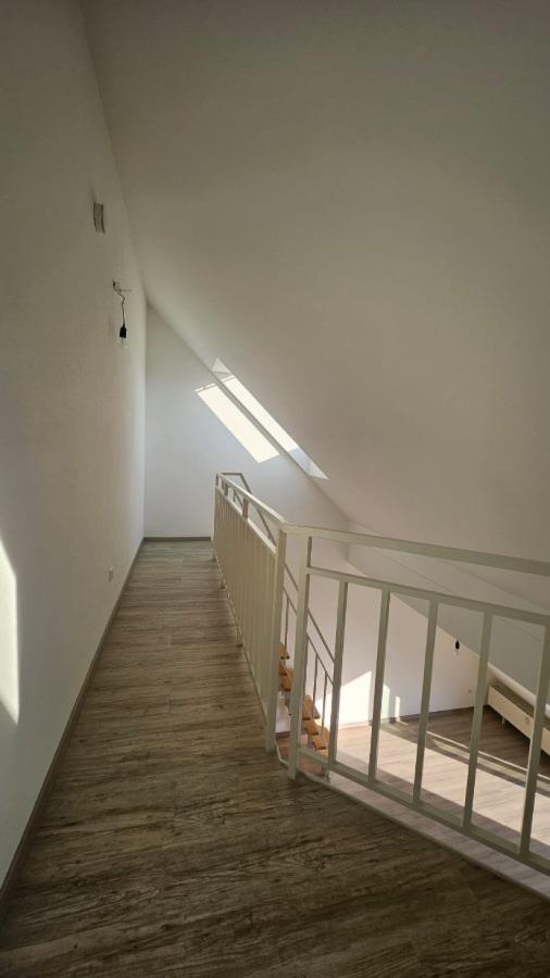 Bild oben von der Galerie
