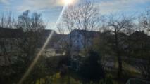 Blick vom Balkon ins Grüne