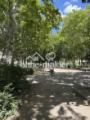 Grünfläche/Spielplatz