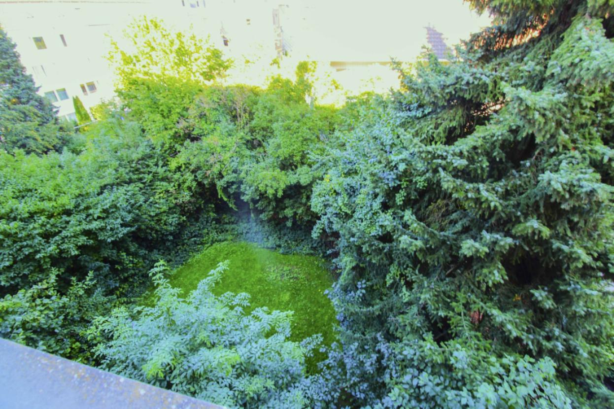 Gartenbereich