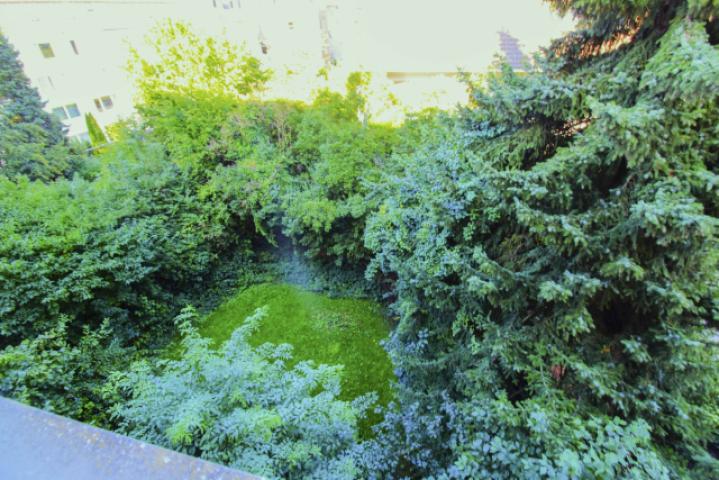 Gartenbereich