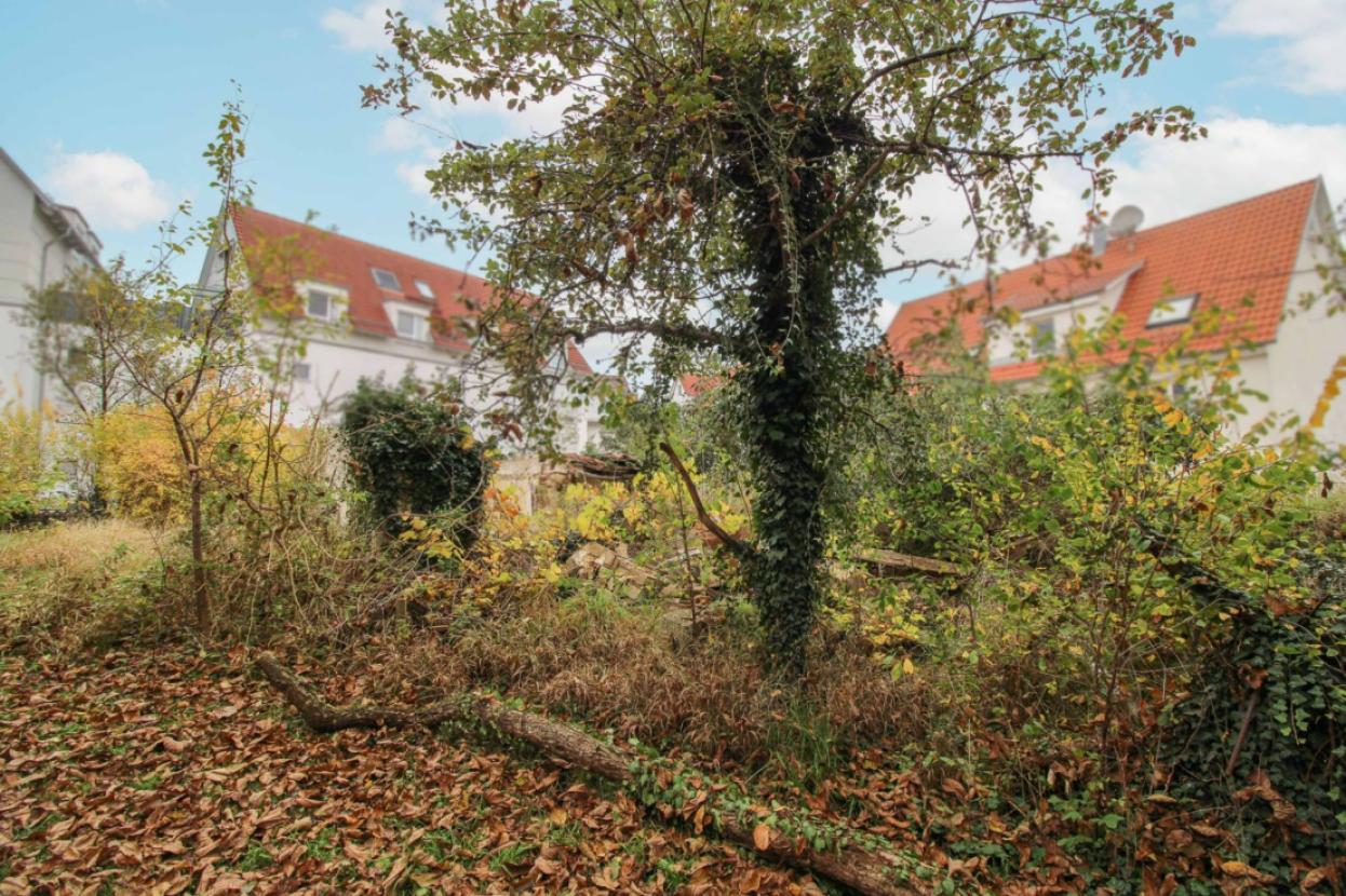 Ansicht Süd (2)