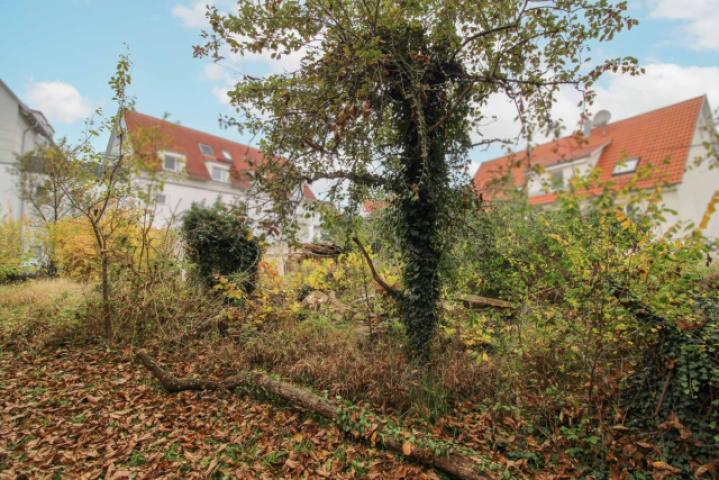 Ansicht Süd (2)