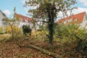 Ansicht Süd (2)