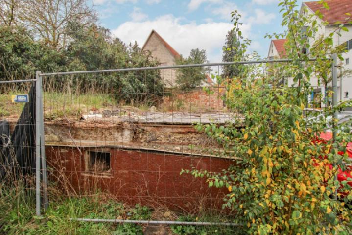 IMG_3704