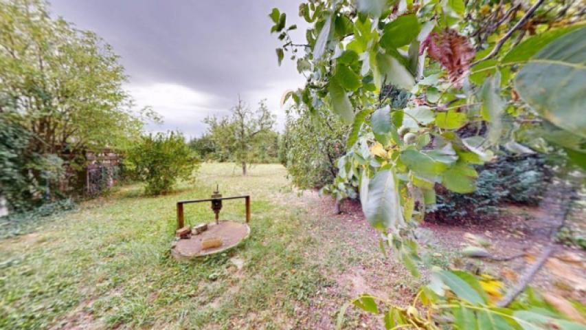 Blick in den Garten