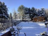 Winterlicher Gartenblick